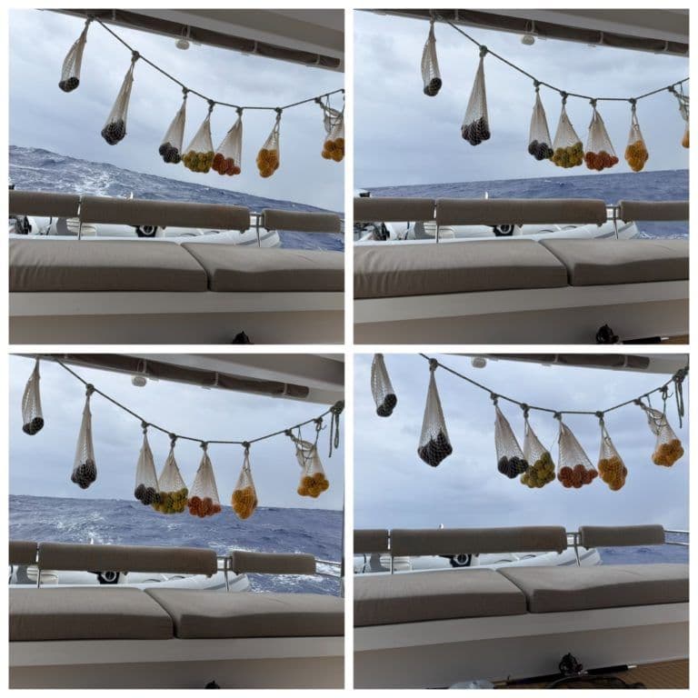 provisions suspendues à bord du bali catamarans 5.4