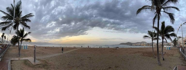 plage avec palmier au lever du soleil